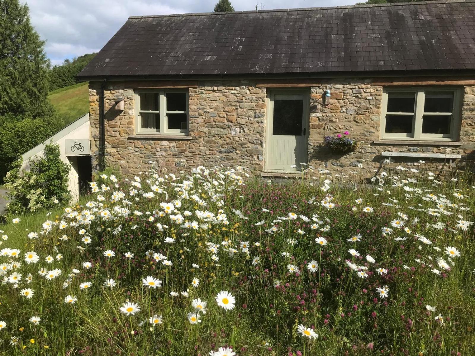 Danygraig Cottage Carmarthen Exteriör bild