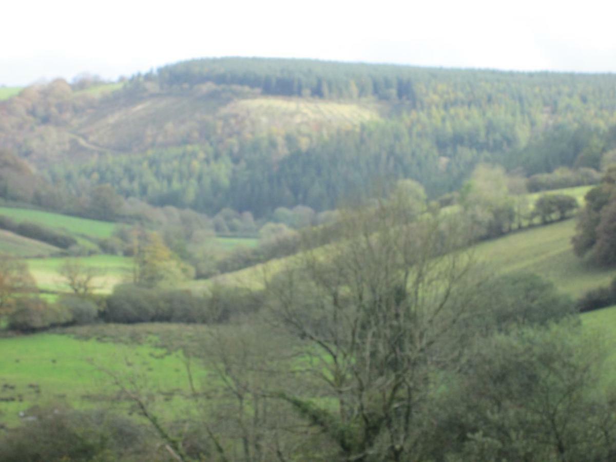 Danygraig Cottage Carmarthen Exteriör bild